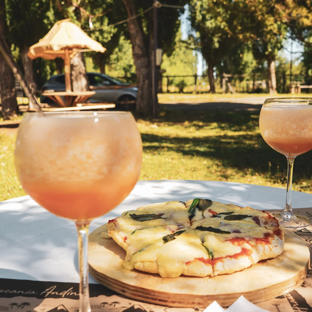 Experiencia Pehuenche