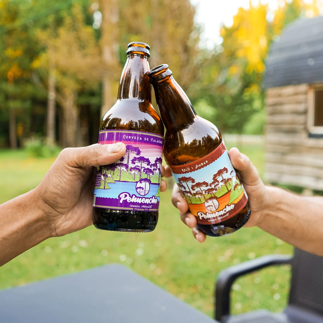 Experiencia Pehuenche